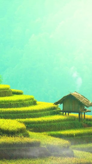主封面
