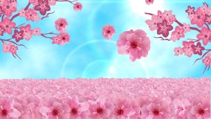 主封面