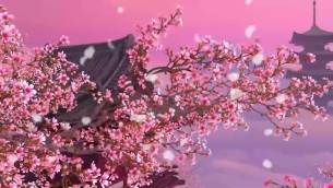 主封面