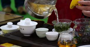 主封面