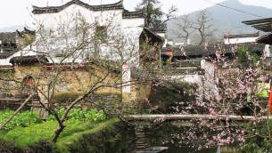 主封面