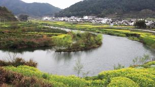 主封面
